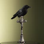 Kraai op Kruis Taxidermie Opgezette Dieren By Max, Ophalen of Verzenden, Nieuw, Vogel, Opgezet dier
