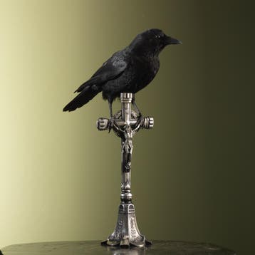 Kraai op Kruis Taxidermie Opgezette Dieren By Max, Ophalen of Verzenden, Nieuw, Vogel, Opgezet dier