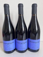 2023 Sylvain Pataille - Bourgogne - 3 Bouteilles (0,75 L)