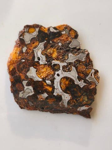 Sericho meteoriet Pallasiet - 24 g - (2)