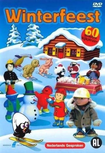 Winterfeest - DVD (Films (Geen Games)), CD & DVD, DVD | Autres DVD, Ophalen of Verzenden