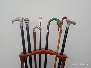 Canne de marche (8) - bois nobles et métal