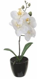 Witte Orchidee in pot Zijdenbloem 34 cm per stuk