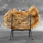 Étonnante tranche de bois pétrifié sur un support