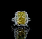 Ring - 14 karaat Witgoud - 10.07ct. tw. Geel Diamant (Fancy