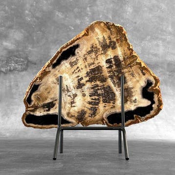 Prachtige snede van versteend hout op een op maat gemaakte