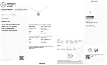 Zonder minimumprijs - Ketting met hanger - 14 karaat Geel