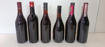 1986 Bricco Rio Sordo, 1986, Pora Musso, 1973, 1974, 1979
