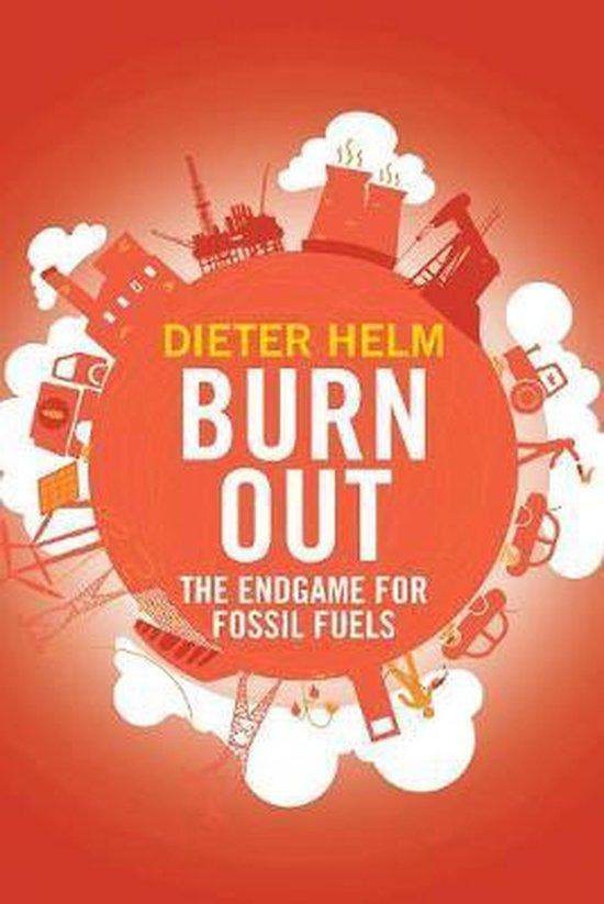 Burn Out 9780300225624 Dieter Helm, Boeken, Taal | Engels, Gelezen, Verzenden