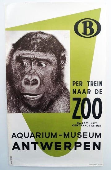 Studio Peso - Ontmoet gorilla Gust in de ZOO van Antwerpen -, Antiek en Kunst