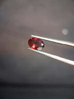 Natural Garnet - Rhodolite - 0.790 ct - oval - unheated- red, Verzenden, Nieuw