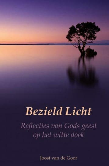 Bezield Licht 9789464808902 Joost van de Goor, Verzenden, Gelezen, Joost van de Goor