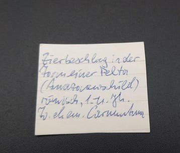 Oud-Romeins, Keizerrijk Grote Romeinse paardenharnbeschlag