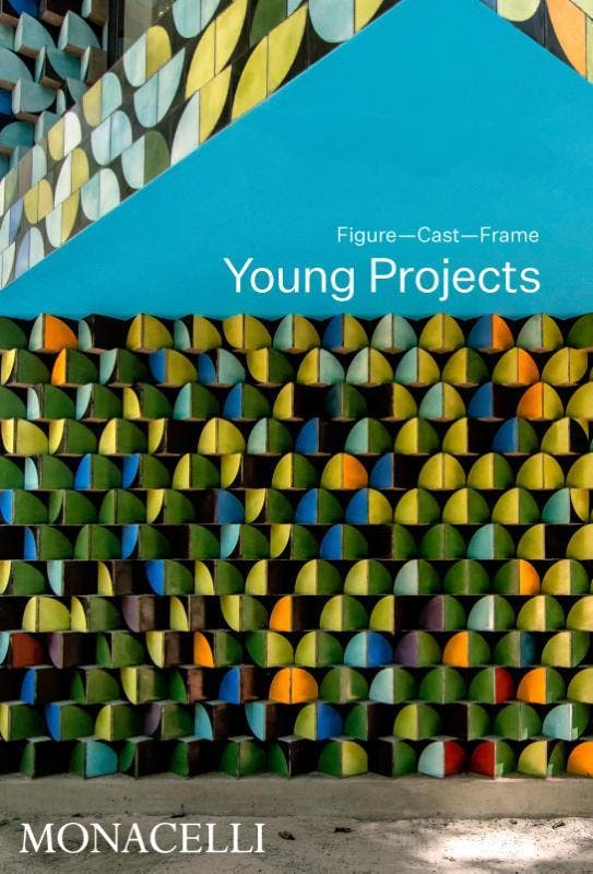 Young Projects | Nieuw, Boeken, Overige Boeken, Nieuw, Verzenden