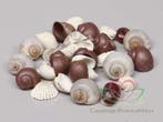 Schelpenmix Deluxe Donkerbruin 350 gram, Nieuw