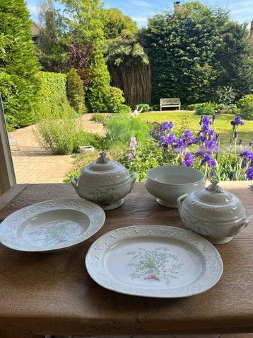 Haviland & Co. Limoges - Eetservies (29) - Fougère -