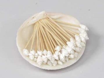 Tigrina White Nass Schelpen op stokje 50 stuks