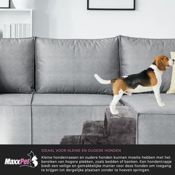 MaxxPet Hondentrap - easy step - 43x41x30cm - Grijs (Dier), Ophalen of Verzenden, Nieuw