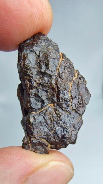 Météorite lodranite. NWA 17904. La météorite est une brèche
