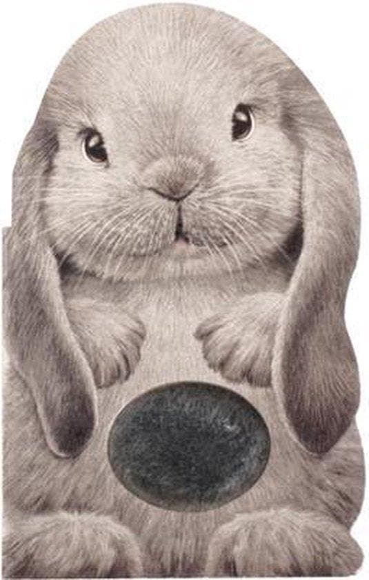 Furry Bunny 9781438050119 Annie Auerbach, Livres, Langue | Anglais, Envoi