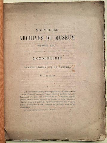 M. Joseph Decaisne - Monographie des Genres Ligustrum et