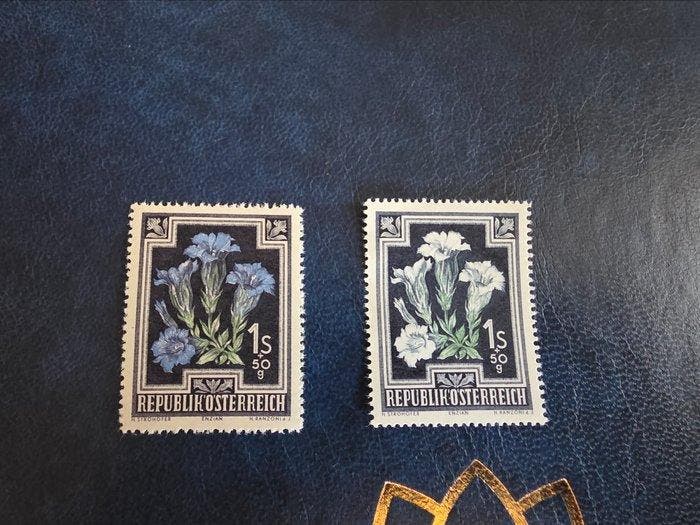 Oostenrijk 1948 - Oostenrijk 885 F I Weißer Enzian ANK, Postzegels en Munten, Postzegels | Europa | Oostenrijk