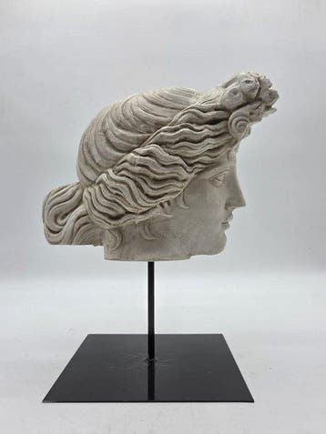 Sculpture, Testa di Apollo - 34 cm - poudre de marbre
