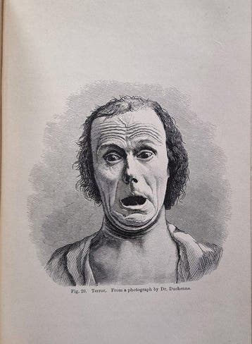 Charles Darwin - The Expression of the Emotions in Man and
