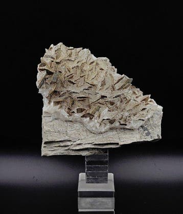 Iriserende marcasiet op witte calcietplaten, Frankrijk