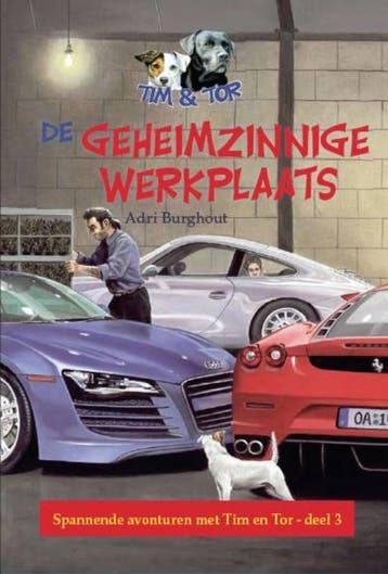De geheimzinnige werkplaats / Tim & Tor / 3 9789033607752, Verzenden, Adri Burghout