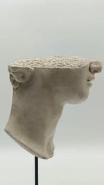 sculptuur, Volto di Alessandro Magno - 37 cm - marmerstof