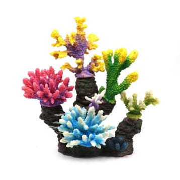 Kunstkoraal set 6 kleuren koraal OS-293 - aquarium decoratie, Ophalen of Verzenden