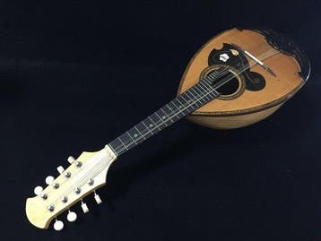 Suzuki, Vintage Japanese Bowl-back Mandolin by Suzuki Violin, Nieuw