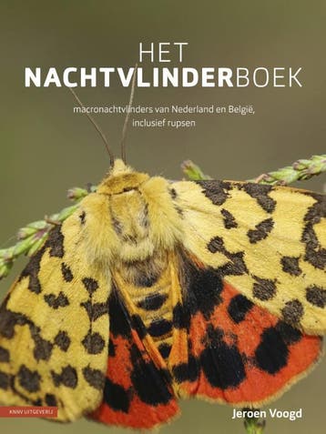Het Nachtvlinderboek | Jeroen Voogd | Nieuw, Verzenden, Nieuw, Jeroen Voogd