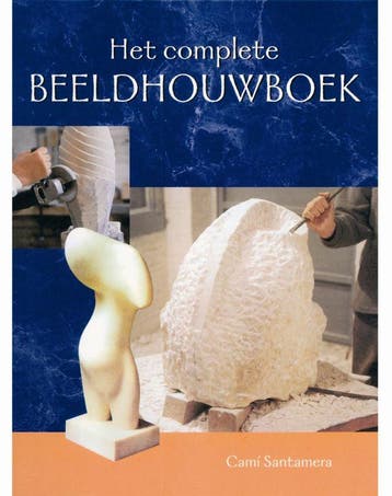 Het complete beeldhouwboek 9789021331263 J.T. I. Cami, Verzenden, Gelezen, J.T. I. Cami