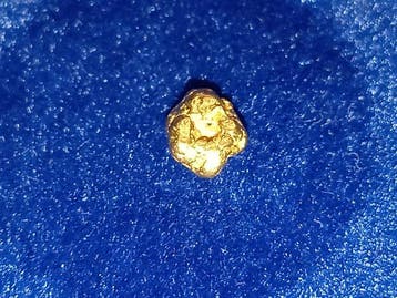 Ronde juweel - goudnugget - Yukon Goud nugget - Hoogte: 0.5