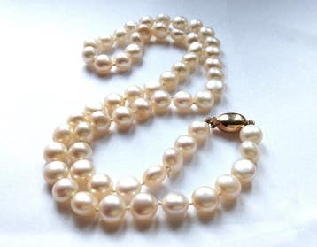 Sans prix de réserve - Collier Or jaune 585 / 14 carats -, Nieuw