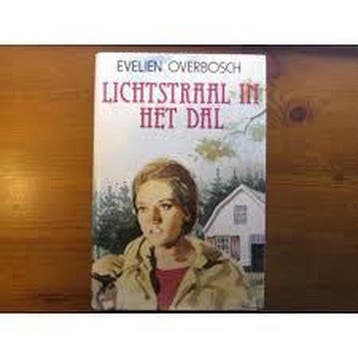 Lichtstraal in het dal - Overbosch, Verzenden
