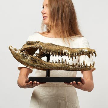 sculptuur, Saltwater Crocodile Skull 50cm - 24 cm - Brons