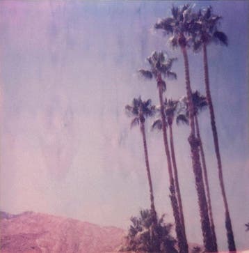 Stefanie Schneider - Stefanie Schneiders Minis Palm