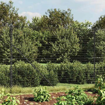 vidaXL Draadgaashek met grondankers 2x25 m antracietkleurig, Verzenden, Nieuw