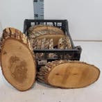 Boomstamschijf Houten Schijf ovaal Eik ca. 25-30 cm Per Stuk, Nieuw
