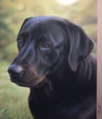 Moira Lazio - Black Labrador – Hyperrealistic Pastel