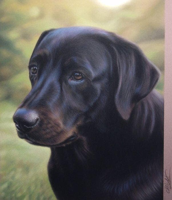 Moira Lazio - Black Labrador – Hyperrealistic Pastel, Antiquités & Art, Art | Peinture | Moderne