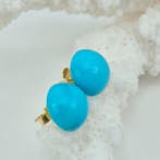 Turquoise - Zilver, Verguld - Oorbellen