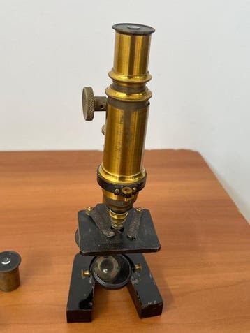 Microscope - 1850-1900