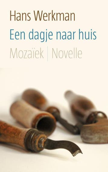 Een dagje naar huis 9789023994312 Hans Werkman, Verzenden, Gelezen, Hans Werkman