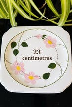 Villeroy & Boch - Bord (5) - Wild Rose - Porselein