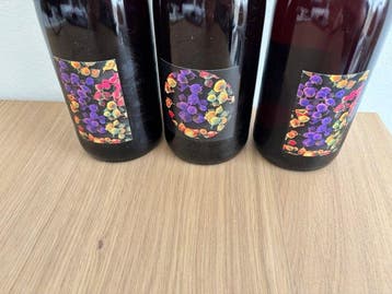 2024 Allante & Boulanger Gamay Bois dAlix, Gamay le, Nieuw
