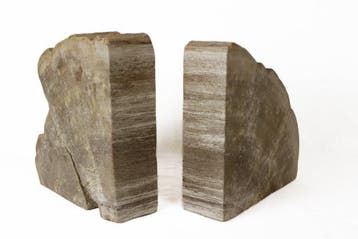 Cale-livres en bois pétrifié - Bois fossilisé - 35 cm - 20, Collections